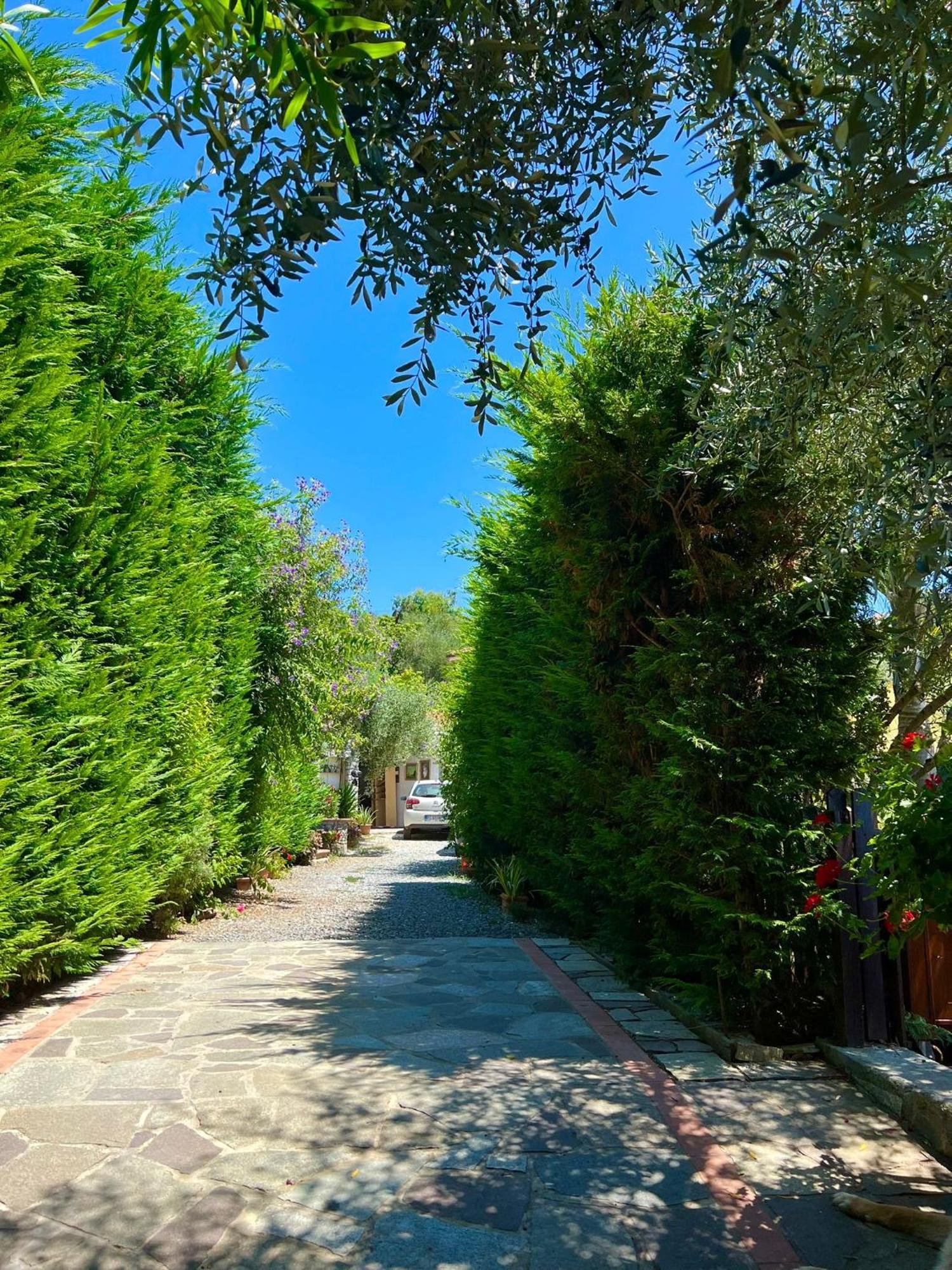 Le Jardin Sur Mer Avec Bike Et Mtb Tour Hotel อิมเปรีอา ภายนอก รูปภาพ